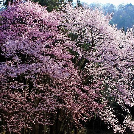 Aizu Astraea Hotel Minamiaizu Kültér fotó